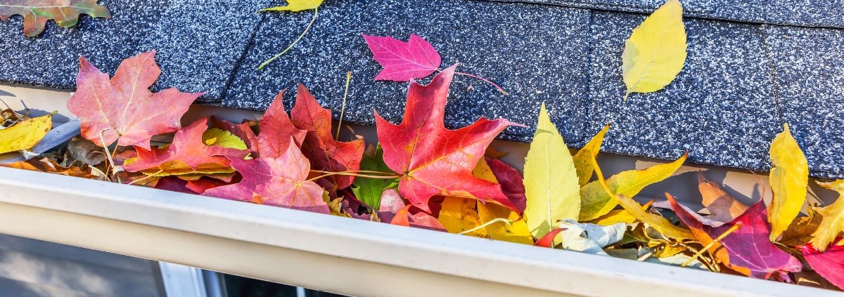 house roof with fall leaves in the gutters - Rain Master fall gutter prep