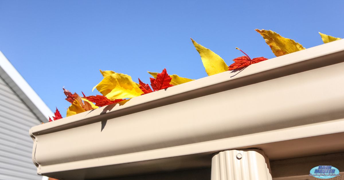 house roof with fall leaves in the gutters - Rain Master Gutter Cleaning