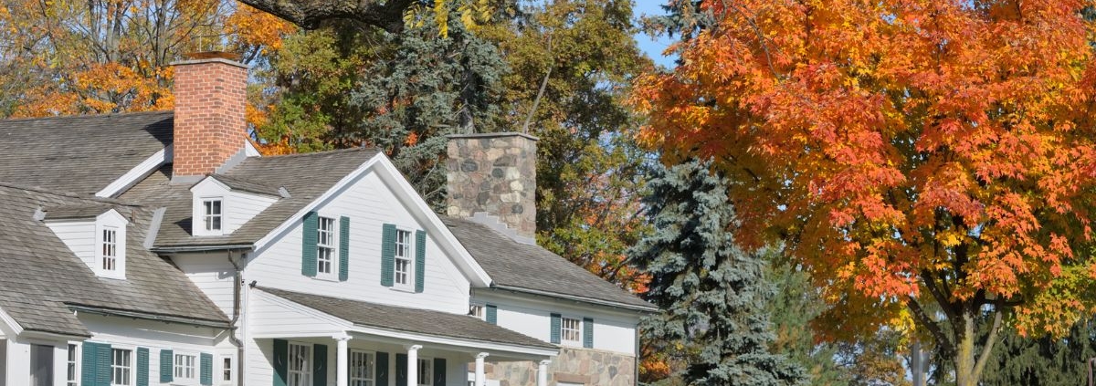 exterior of a home with multiple trees - Rain Master Seamless Gutters