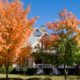 exterior of a home in the fall time - Rain Master